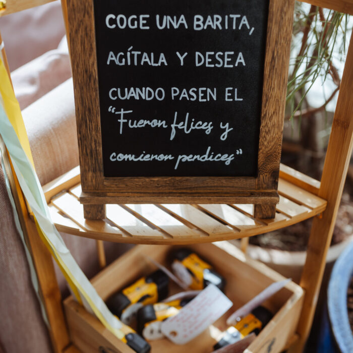 Henar y Diego-266